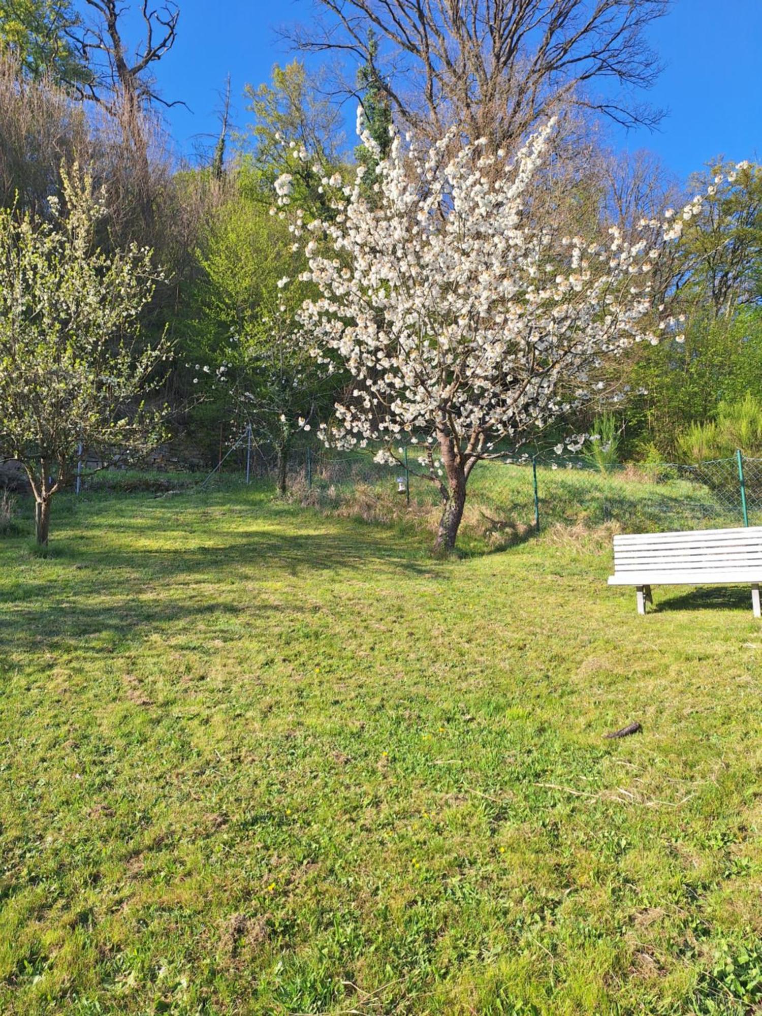 Kleines Domizil Am Suedhang Ortenberg  Rom bilde